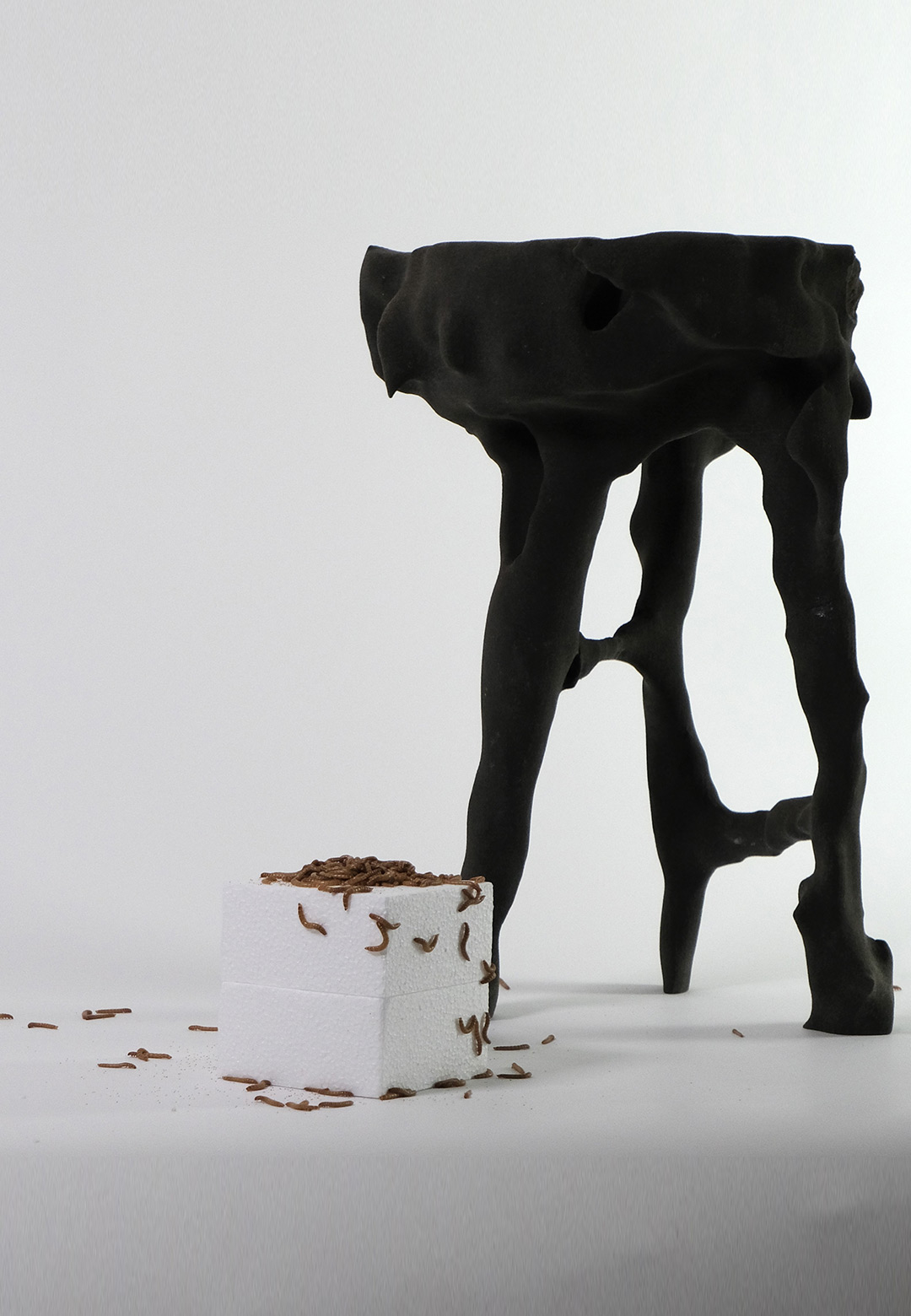 Polystyrene-eating mealworms collaborate on William Eliot’s 'Digested Objects' stool