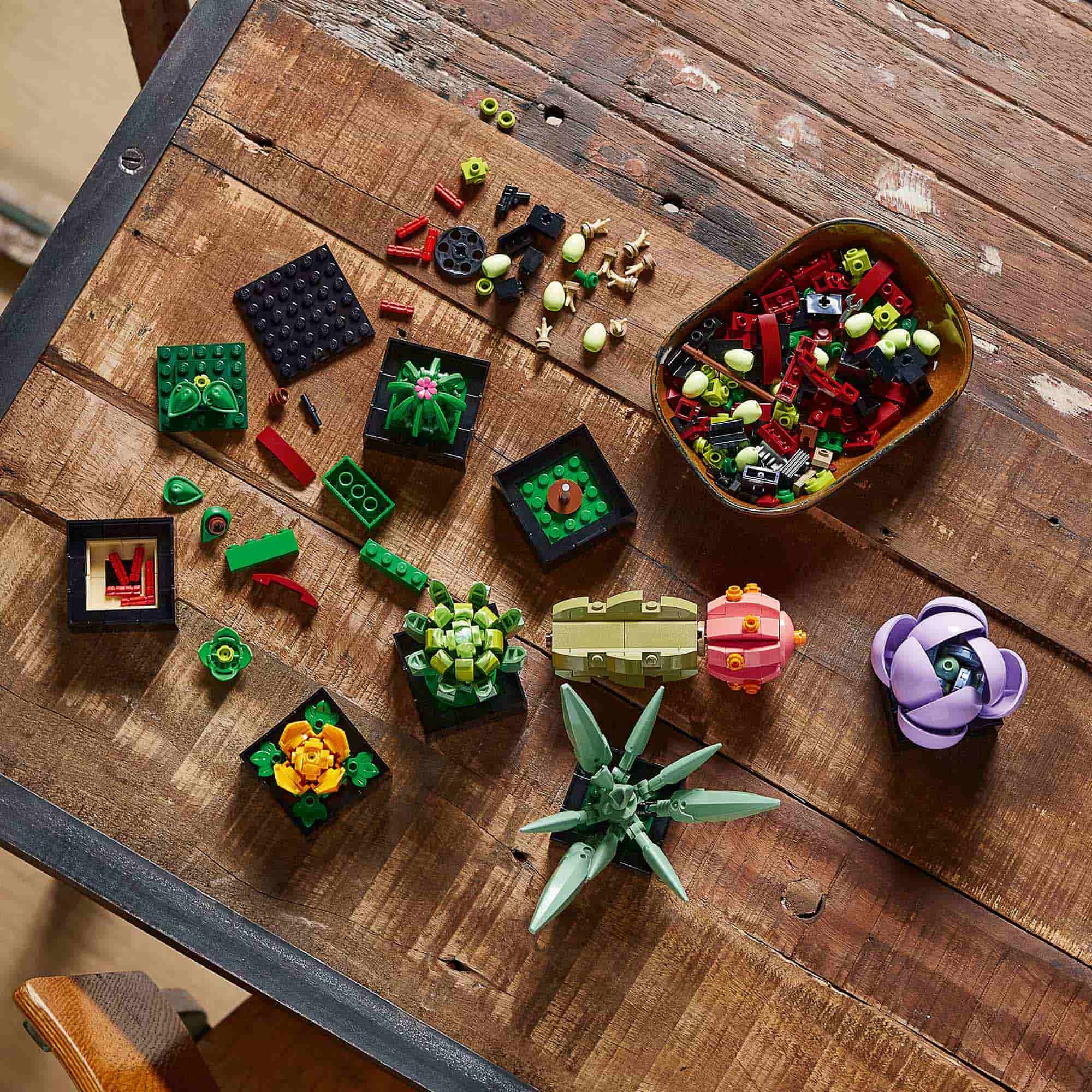 LEGO welcomes orchid and succulents to its Botanical Collection | STIRpad